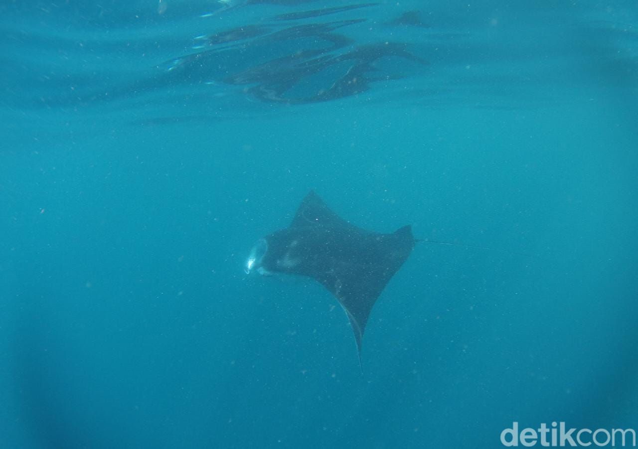 Tur ke Nusa Penida