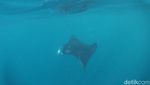 Liburan Singkat ke Nusa Penida, Bisa Jadi Referensi Nih