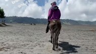 Rekam Tanpa Izin, Wisatawan Gunung Bromo Dipalak Oknum Ojek Kuda