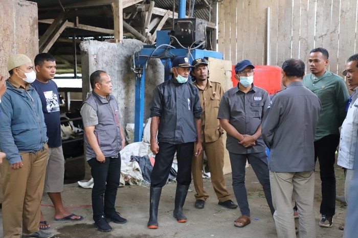 Wakil Bupati (Wabup) Garut Helmi Budiman saat melakukan pengecekan hewan ternak milik Kelompok Ternak Sapi Perah (KTSP) Bojong 3, di Desa Tambakbaya, Kecamatan Cisurupan, Kabupaten Garut, Selasa, (21/6/2022).