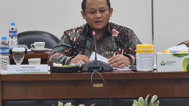 Wakil Ketua Komisi VI DPR Sarmuji
