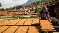 Mayoritas penduduk di desa ini bekerja sebagai petani tembakau, sebuah profesi yang mereka turunkan dari generasi ke generasi.