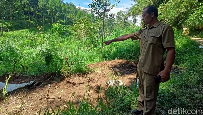 Warga menunjukkan lokasi penguburan sapi di Ponorogo