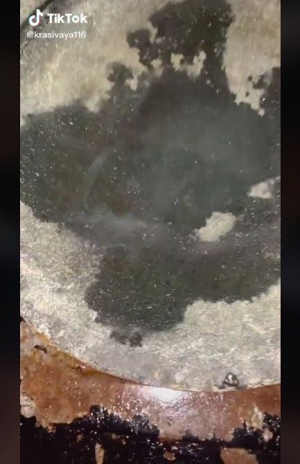 Ada belatung keluar dari cobek batu