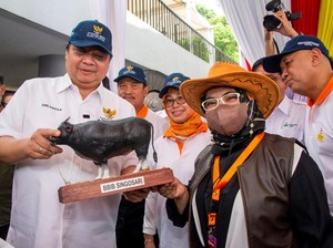 Airlangga Ungkap 3 Kunci Hadapi Isu Ketahanan Pangan di Dalam Negeri