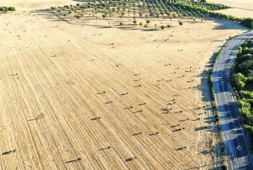 Foto-foto Ini Rekam Kekeringan Ekstrem di California, AS