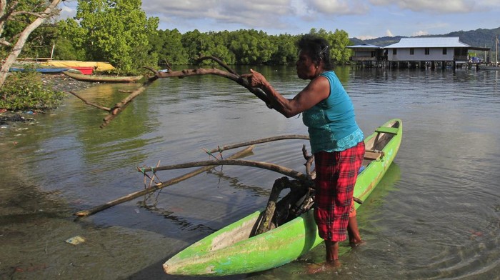 Warga Kampung Enggros mencari kayu bakau kering untuk bahan bakar di Hutan Bakau Perempuan, Teluk Youtefa, Jayapura, Papua, Selasa (21/6/2022). Hutan seluas delapan hektar yang hanya boleh dimasuki kaum perempuan menurut adat istiadat setempat tersebut menjadi sumber kehidupan bagi masyarakat setempat dan habitat bagi beragam fauna. ANTARA FOTO/Gusti Tanati/app/rwa.