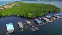 Foto udara suasana Kampung Enggros yang berdampingan dengan Hutan Bakau Perempuan di Teluk Youtefa, Jayapura, Papua, Selasa (21/6/2022).   
