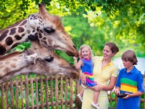 Cerita Penjaga Kebun Binatang Baik Hati di China, Tak Pernah Naikkan Harga Tiket