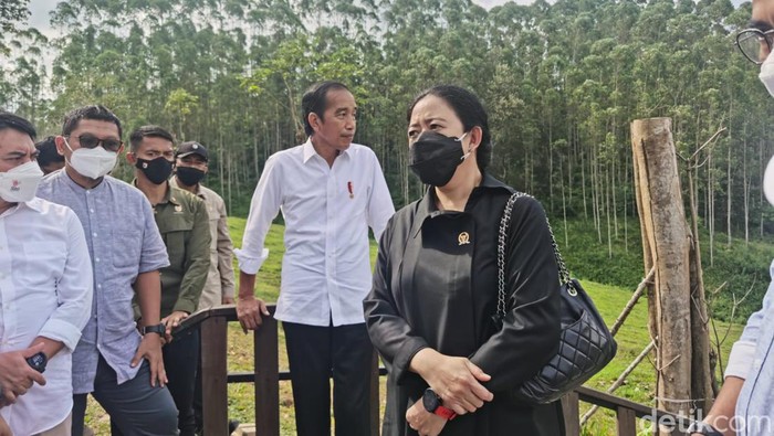 Apakah Jokowi ingin melempar kode dukungan kepada Puan dengan mengajaknya ke IKN?