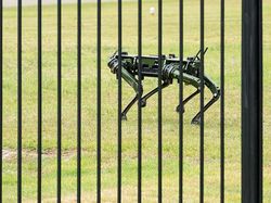 Gahar! Robot Anjing Jaga Istana Presiden Korsel