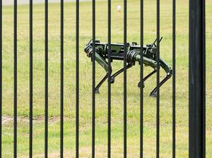Gahar! Robot Anjing Jaga Istana Presiden Korsel