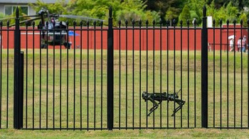 Robot anjing berpatroli di depan kantor kepresidenan baru di Seoul, Korea Selatan, Kamis (16/6/2022) waktu setempat.
