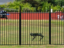 Gahar! Robot Anjing Jaga Istana Presiden Korsel