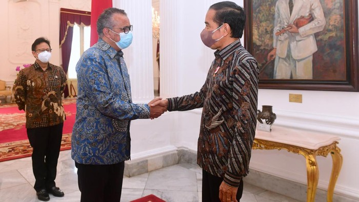Jokowi bertemu Direktur Jenderal WHO Tedros Adhanom Ghebreyesus di Istana Merdeka. Sejumlah hal dibahas dalam pertemuan itu, salah satunya soal pandemi COVID-19