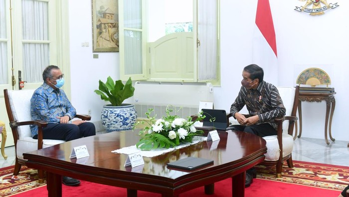 Jokowi bertemu Direktur Jenderal WHO Tedros Adhanom Ghebreyesus di Istana Merdeka. Sejumlah hal dibahas dalam pertemuan itu, salah satunya soal pandemi COVID-19