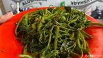 Pengalaman Makan di Warung Seafood Tenda Dekat PRJ yang Disebut Kemahalan