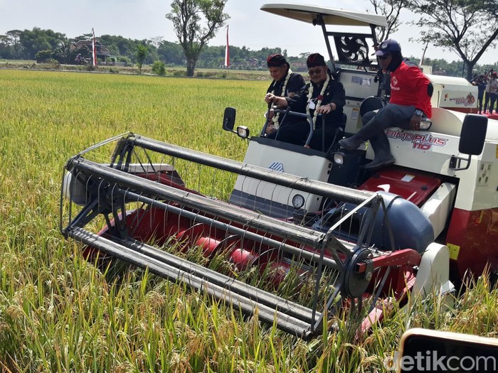 Menteri Pertanian (Mentan) Syahrul Yasin Limpo memimpin panen raya di Sukoharjo, Rabu (22/6/2022).