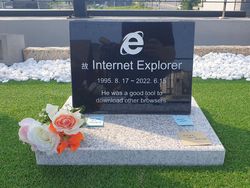 Potret Viral Kuburan Internet Explorer di Korea Selatan