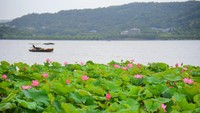 Area tersebut berada di sebuah danau di Hangzhou Provinsi Zhejiang.  