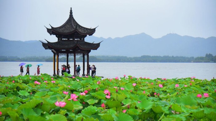 HANGZHOU, CHINA - JUNE 22: Tourists visit Jixian Pavilion behind blooming lotus flowers at the West Lake Scenic Area on June 22, 2022 in Hangzhou, Zhejiang Province of China. (Photo by Lian Guoqing/VCG via Getty Images)