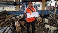 Hewan kurban yang diperiksa adalah sapi dan kambing.