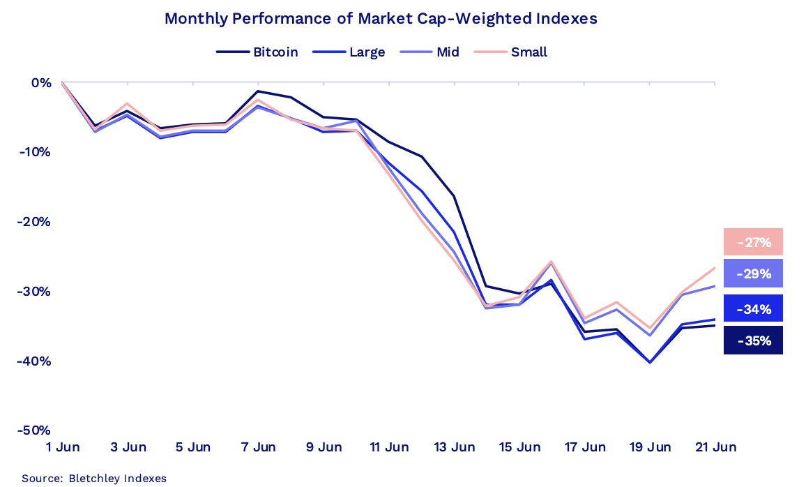 Crypto Cap