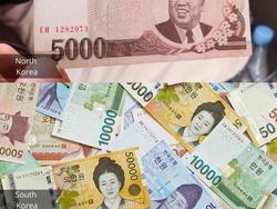 Potret Kontras Kehidupan di Korea Selatan dan Utara