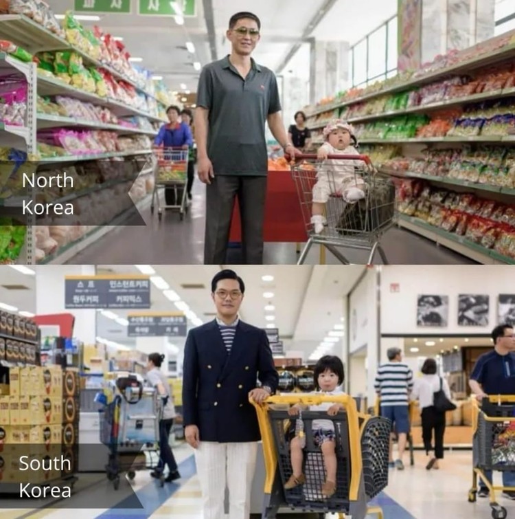 fotoinet Potret Kontras Kehidupan di Korea Selatan dan Utara