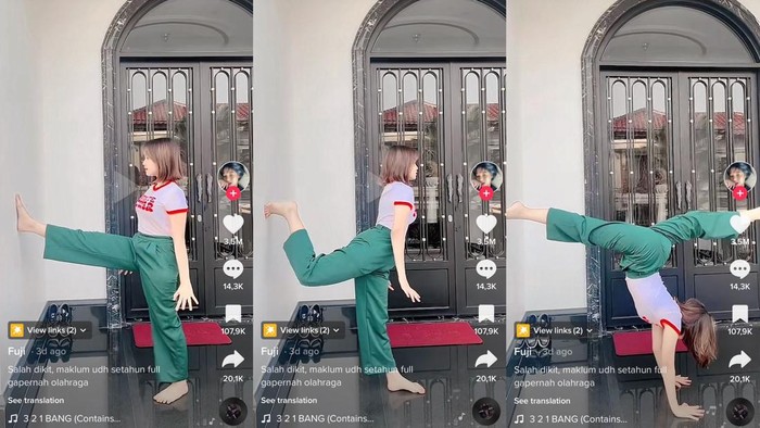 Fuji handstand