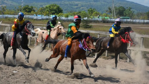 Joki cilik di pacuan kuda di Sumbawa