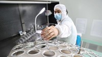 Pekerja menguji lensa teleskop astronomi. Produk diekspor ke lebih dari 100 negara dan wilayah seperti seperti Amerika Serikat, Kanada, Inggris, Prancis, Jerman, dan Italia.