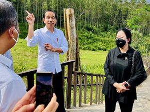 Jokowi Minta Ibu Kota Baru Ditetapkan Jadi Proyek Strategis Nasional