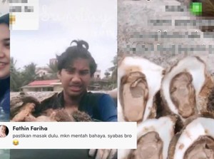 Ngidam Aneh, Wanita Ini Hanya Mau Makan Tiram Hasil Tangkapan Suami di Laut