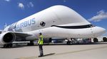 Penampakan Airbus Beluga XL, Pesawat Super Jumbo Saingan Antonov