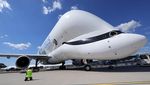 Penampakan Airbus Beluga XL, Pesawat Super Jumbo Saingan Antonov