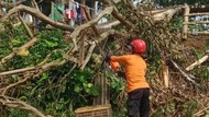 2 Orang Dilaporkan Hilang Akibat Tanah Longsor di Bogor, 1 Meninggal