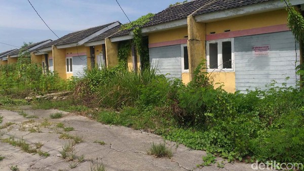 Intip Rumah Murah Program Jokowi, Kosong-Dimakan Tanaman