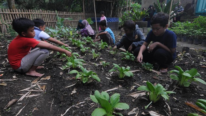 Wisata edukasi pertanian terintegrasi jadi pilihan menarik untuk isi waktu libur sekolah anak-anak. Di sana anak-anak akan diajarkan tentang pertanian-budidaya.