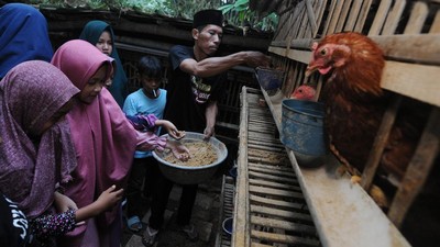Seru, Di Sini Anak-anak Bisa Liburan Sambil Bertani-Beternak Ayam