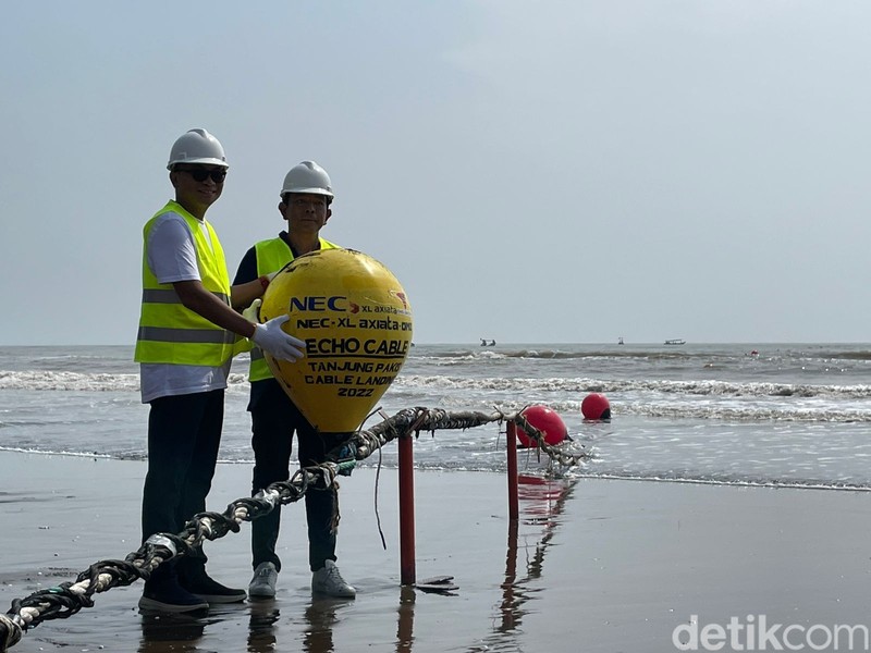 XL Axiata menarik kabel bawah laut Sistem Komunikasi Kabel Laut (SKKL) Echo yang menghubungkan secara langsung antara Indonesia dan Amerika Serikat.