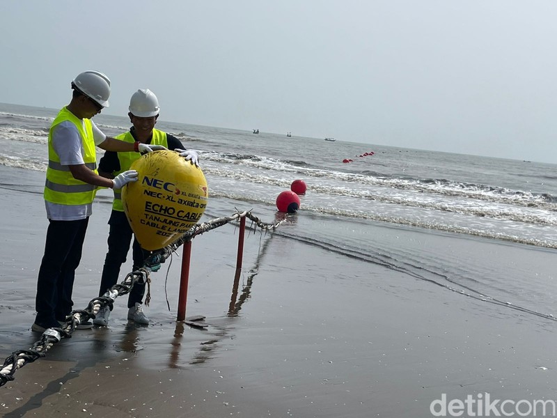 XL Axiata menarik kabel bawah laut Sistem Komunikasi Kabel Laut (SKKL) Echo yang menghubungkan secara langsung antara Indonesia dan Amerika Serikat.