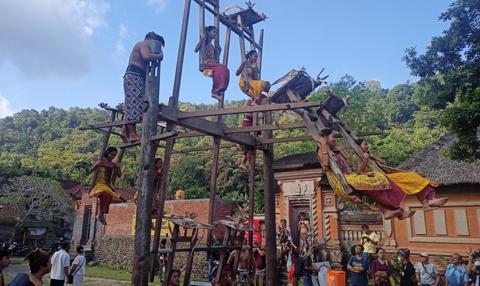 Serunya tradisi ayunan jantra  yang ada di Desa Tenganan Pegringsingan