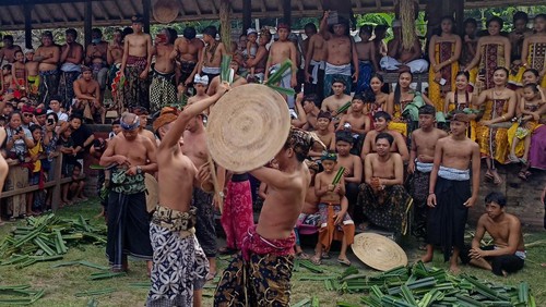 Tradisi mekare-kare atau yang lebih dikenal sebagai perang pandan kembali digelar di Desa Tenganan Pegringsingan, Karangasem, Bali, Kamis (23/6/2022).