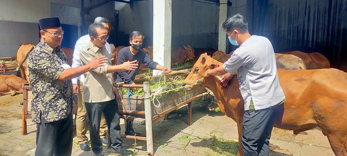 Wakil Ketua DPRD Kota Surabaya AH Thony meninjau rumah potong hewan (RPH) Kota Surabaya di Jalan Pengirian yang tetap eksis di tengah wabah penyakit mulut dan kuku (PMK).