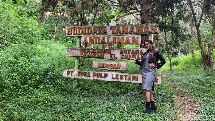 Wisatawan saat berfoto di pintu masuk kebun Andaliman Taman Eden 100