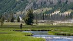 Indahnya Taman Nasional Yellowstone AS, Kapan ke Sana?