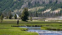 Yellowstone memiliki banyak kesempatan rekreasi, termasuk hiking, berkemah, berperahu, memancing, dan jalan-jalan.  