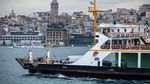 Aksi Burung Camar Menyambar Makanan di Selat Bosphorus