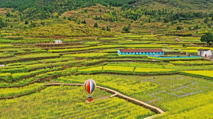 XIANJU, CHINA - MARCH 26: Aerial view of blooming rapeseed flowers in terraced fields at Qiantang village on March 26, 2022 in Xianju County, Taizhou City, Zhejiang Province of China. (Photo by Wang Huabin/VCG via Getty Images)